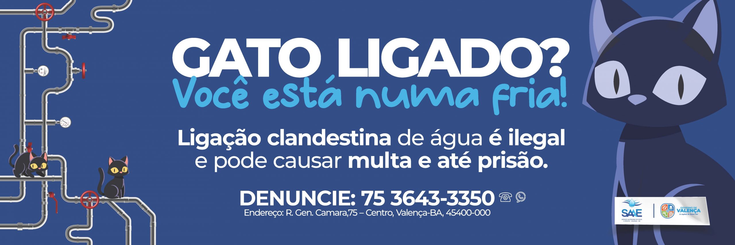 GATO DE ÁGUA É CRIME!